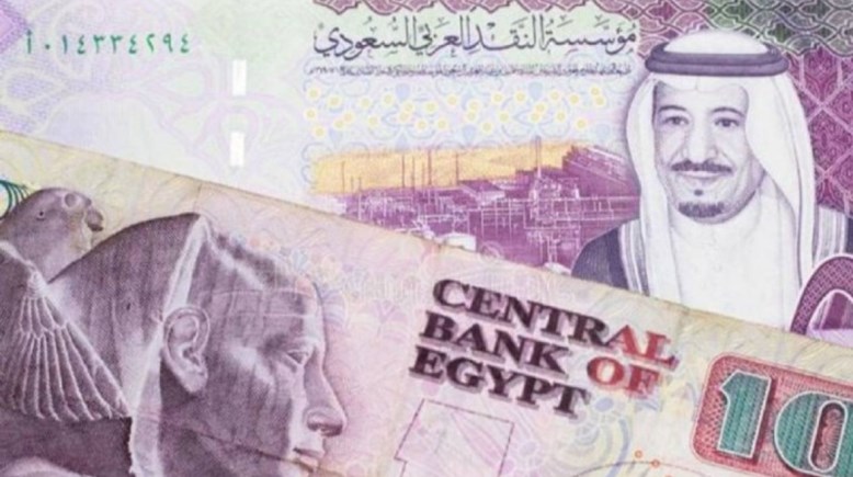 عملات مصرية وسعودية 