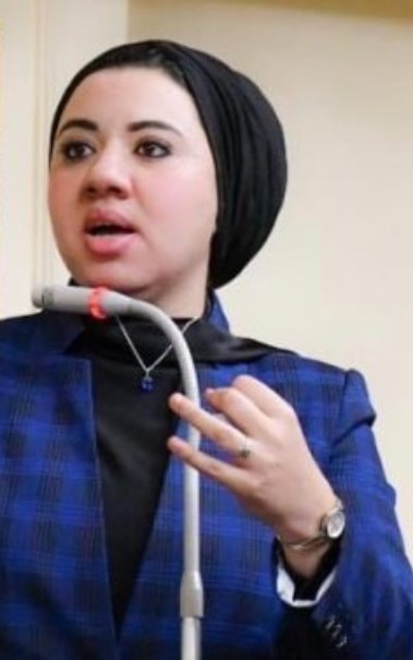 النائبة أميرة صابر