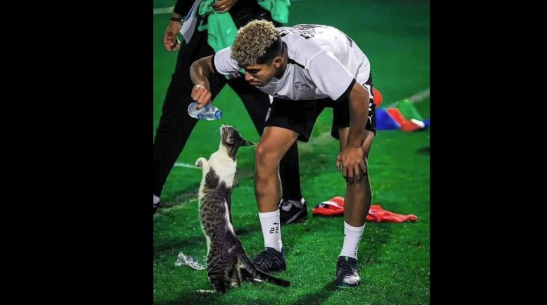 اللاعب عمر خضر 