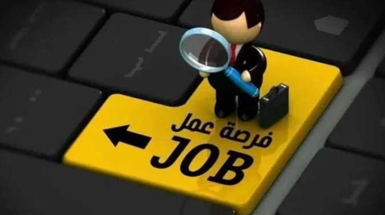 وظائف وزارة النقل 2024