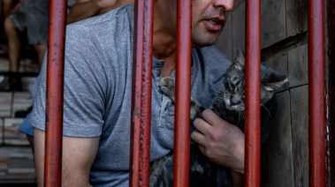 أحد النزلاء يحمل قطته - نيويورك تايمز