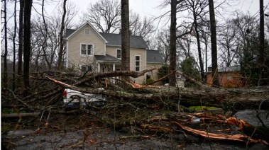 سقوط أشجار بسبب العاصفة