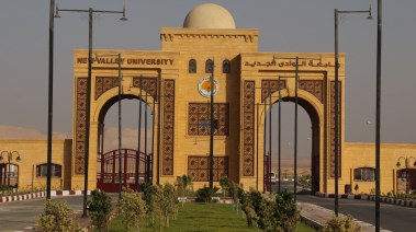 جامعة الوادي الجديد