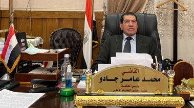 رئيس محكمة  استئناف القاهرة 