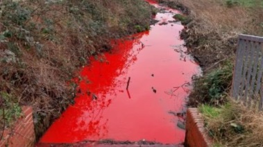 نهر برمنجهام يتحول إلى لون الدم