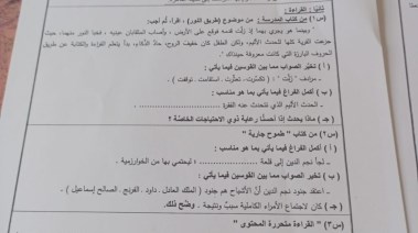 امتحان اللغة العربية بكفرالشيخ 