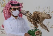 معرض الصقور والصيد السعودي الدولي 2024