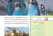  شرح درس المرايا للصف الثالث الإعدادى 2025