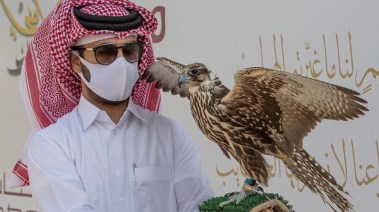 معرض الصقور والصيد السعودي الدولي 2024