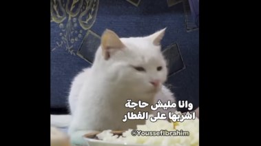 صورة من أحد المقاطع