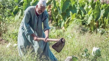 الإصلاح الزراعي - تعبيرية