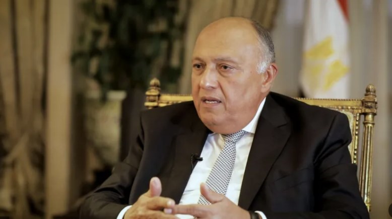 وزير الخارجية سامح شكري وزير الخارجية سامح شكري