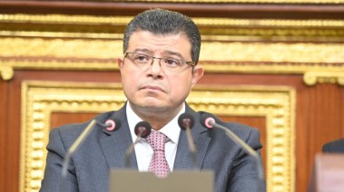 رئيس اللجنة الاقتصادية بمجلس النواب، محمد سليمان