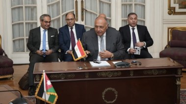 وزير الخارجية المصري سامح شكري والوفد المصري 
