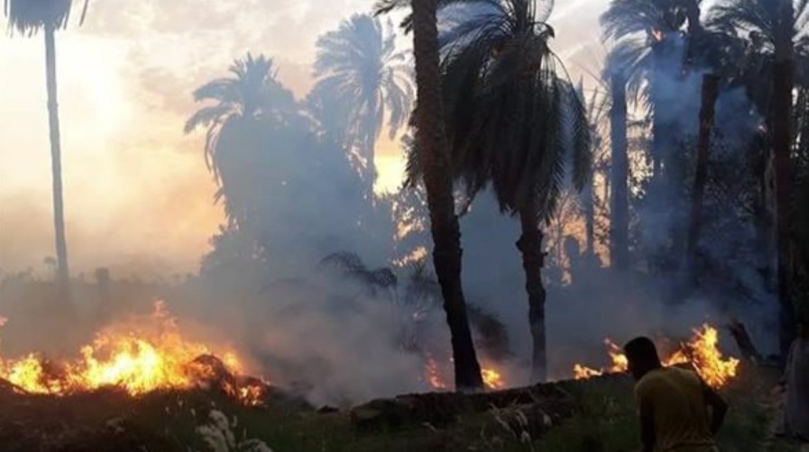 حريق في أرض فضاء وأشجار