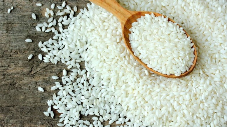 الأرز عريض الحبه
