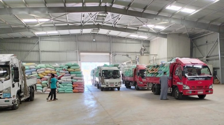 تسلم البنك الزراعي محصول القمح تسلم البنك الزراعي محصول القمح