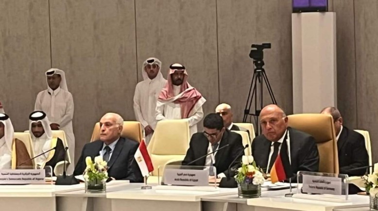 وزير الخارجية سامح شكري 