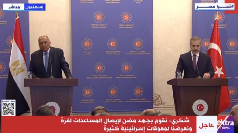 وزير الخارجية المصري سامح شكري ونظيره التركي هاكان فيدان