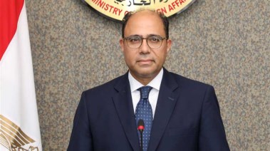  المتحدث الرسمي بوزارة الخارجية السفير أحمد أبوزيد