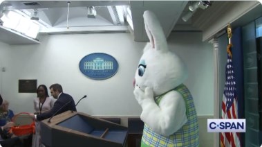 أرنب يقتحم قاعة مؤتمرات البيت الأبيض