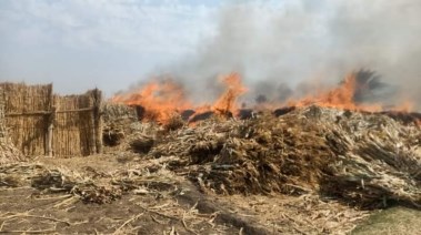 حرق مخلفات زراعية - أرشيفية