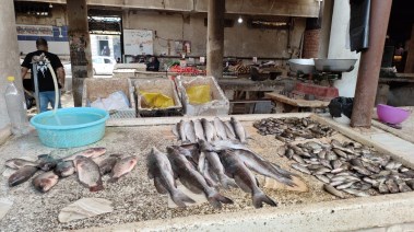 حالة أسواق السمك بعد حملات المقاطعة