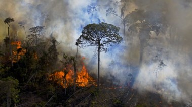 حرائق بغابات الأمازون