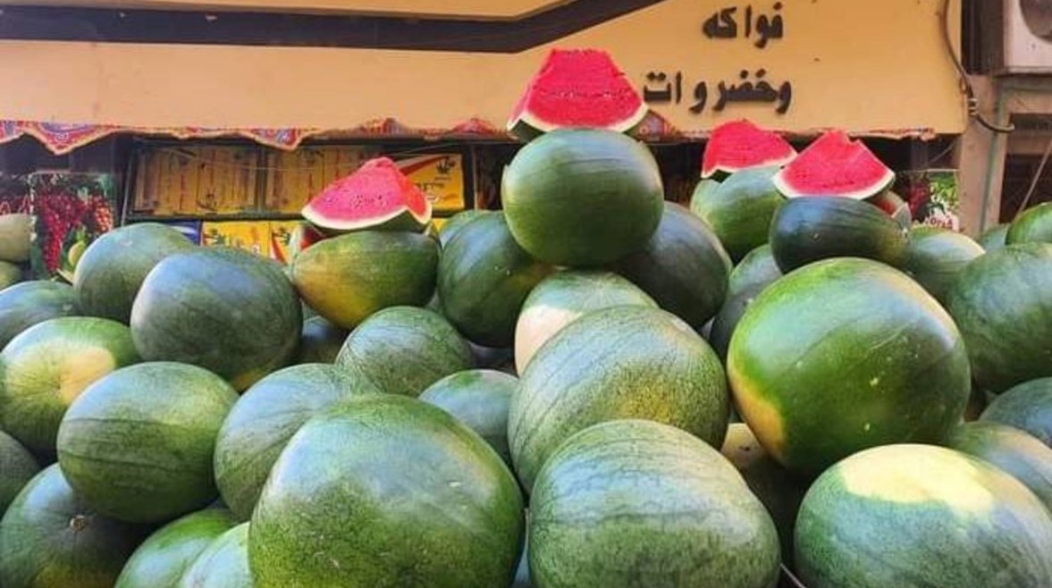 البطيخ في الأسواق