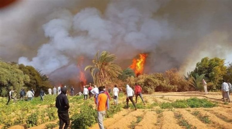 حريق أرض زراعية - أرشيفية