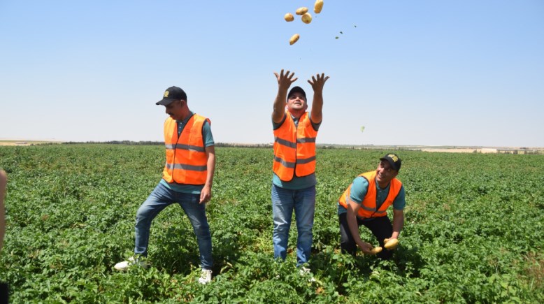 جهاز مستقبل مصر للتنمية المستدامة