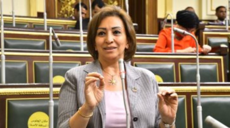 عضو مجلس النواب الدكتورة مها عبدالناصر