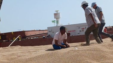 فحص القمح في الموانئ المصرية