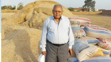 سعيد سليمان أستاذ علوم الوراثة والجينات بكلية الزراعة سعيد سليمان أستاذ علوم الوراثة والجينات بكلية الزراعة