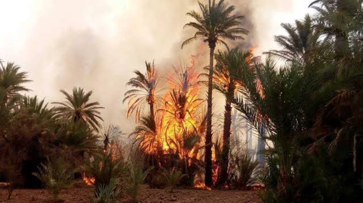 نشوب حريق - صورة أرشيفية 