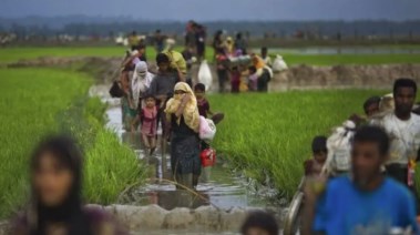 حقل أرز في ميانمار