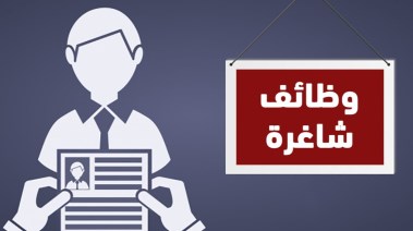 وظائف الحكومة المصرية 2024