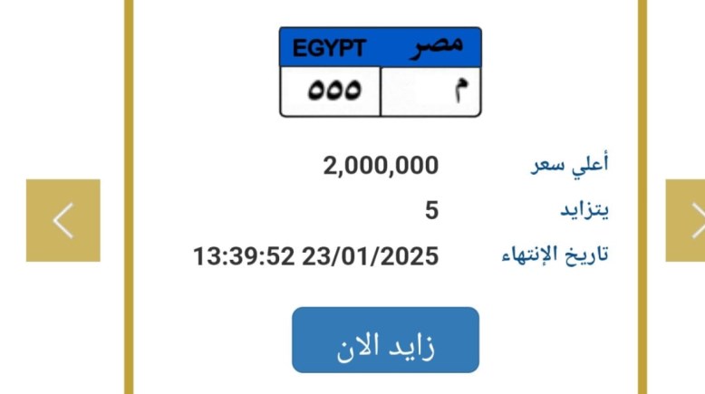 لوحة "م 555" تحقق 2 مليون جنيه 