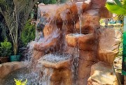صورة للطبيعة