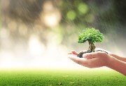 كتابة موضوع تعبير عن مبادرة اتحضر للأخضر  كتابة موضوع تعبير عن مبادرة اتحضر للأخضر