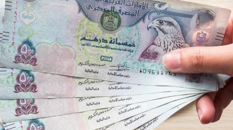 الدرهم الإماراتي الدرهم الإماراتي