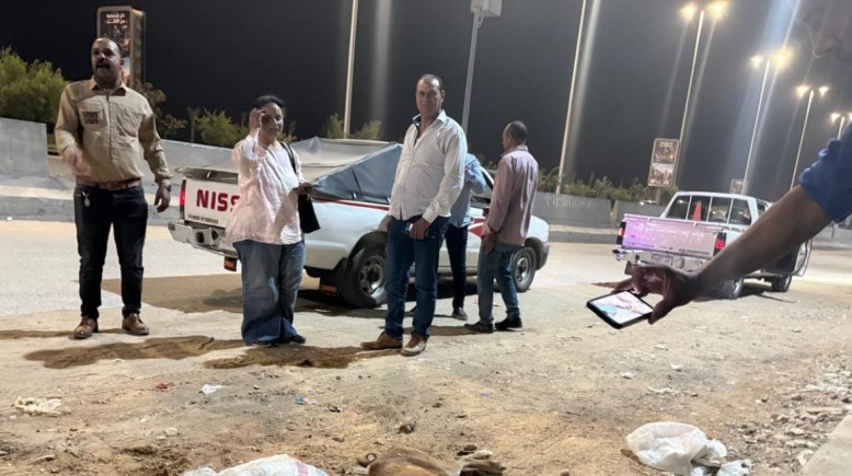 نفوق أعداد من الكلاب الضالة بمنطقة حدائق الأهرام نفوق أعداد من الكلاب الضالة بمنطقة حدائق الأهرام