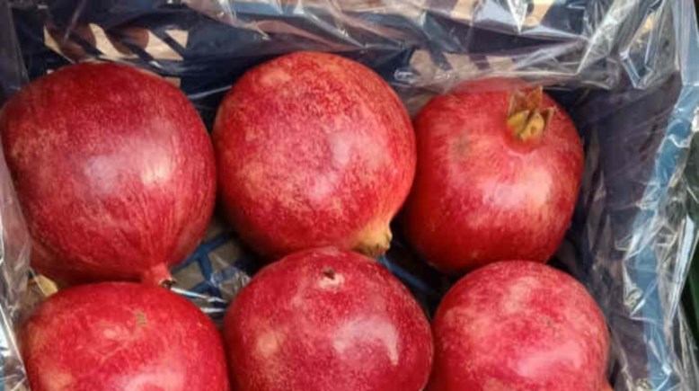 الرمان الطازج الرمان الطازج