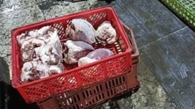 لحوم فاسدة - أرشيفة  لحوم فاسدة - أرشيفة