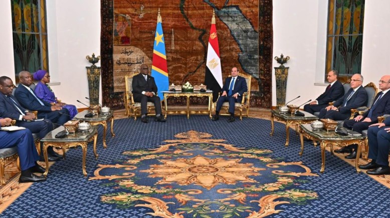 الرئيس السيسي ونظيره الكونجولي الرئيس السيسي ونظيره الكونجولي