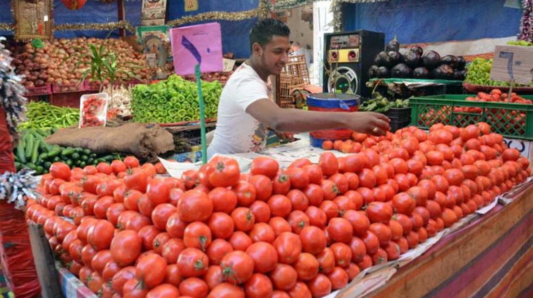 كميات من الطماطم كميات من الطماطم