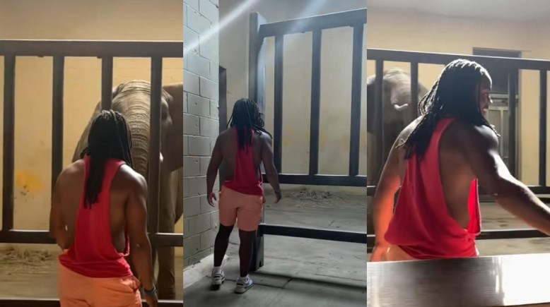 المؤثر نوح توماس من الفيديو المتداول