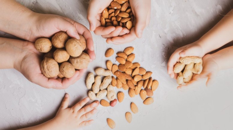 فوائد المكسرات للسيدات فوائد المكسرات للسيدات