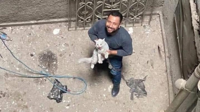 المهندس أحمد المقدم منقذ القطة المهندس أحمد المقدم منقذ القطة