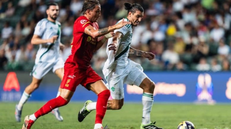 القادسية والحزم القادسية والحزم